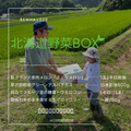 北海道野菜BOX