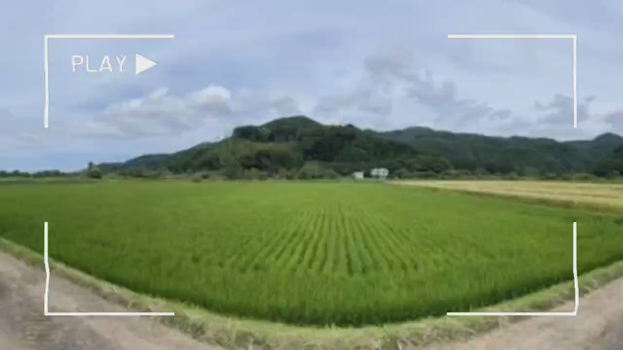 RENHA×北海道2024年夏ギフト数量限定予約サイト